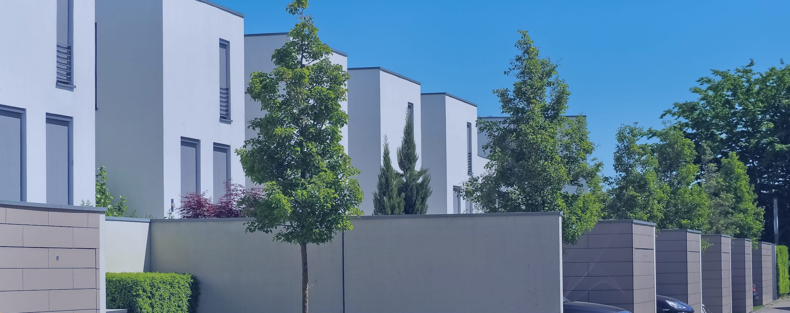 分譲住宅の家々